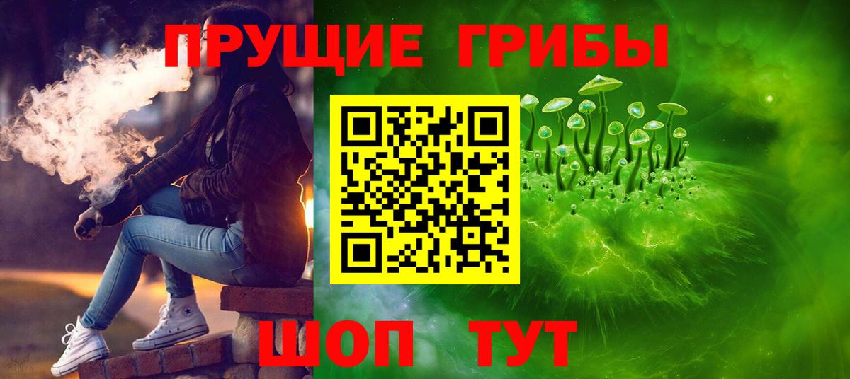 Галлюциногенные грибы Psilocybe Комсомольск-на-Амуре